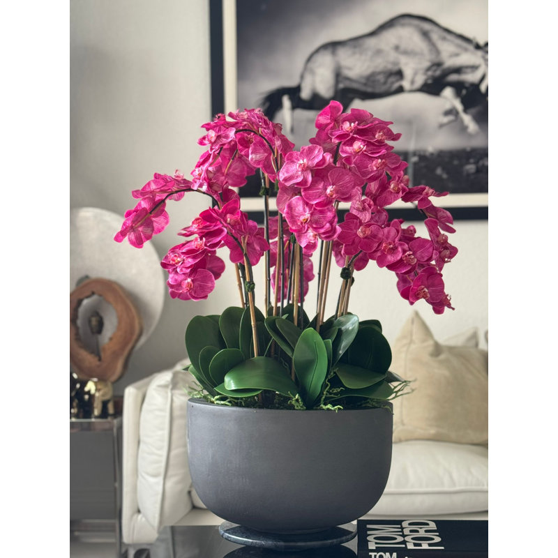 White Orchids In Glossy Grey Fiberstone Bowl, Pink Fucsia