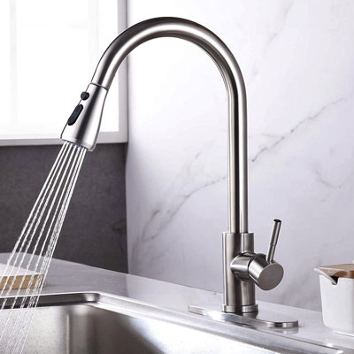 Ledbetter Pull Down Single Handle Kitchen Faucet with Accessories