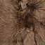 Lalo Sheepskin Area Rug in Taupe