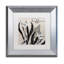 «Flowering Herbs I» par Jadaya, impression encadrée-20096047-20096049-69643880