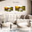 Alvord Serene Forest Lake-108837029
