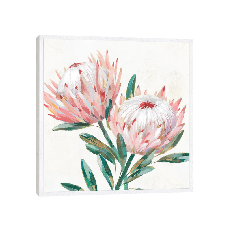 King Protea I by Isabelle Z - Painting on Canvas, 66.04 cm H x 66.04 cm W, White Framed