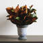 Plante magnolia artificielle 18" en urn