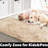 Soft Fluffy Indoor/Outdoor Shaggy Area Rug – Luxurious Comfort & Stylish Design-1113400259
