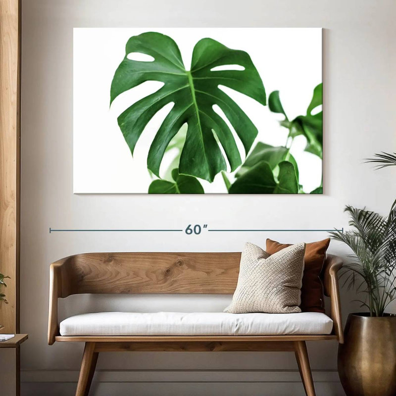 Feuille Harnek Monstera, H 34 po x l 51 po