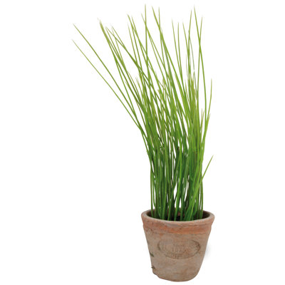 Artificial Chives in Aged Terracotta Pot