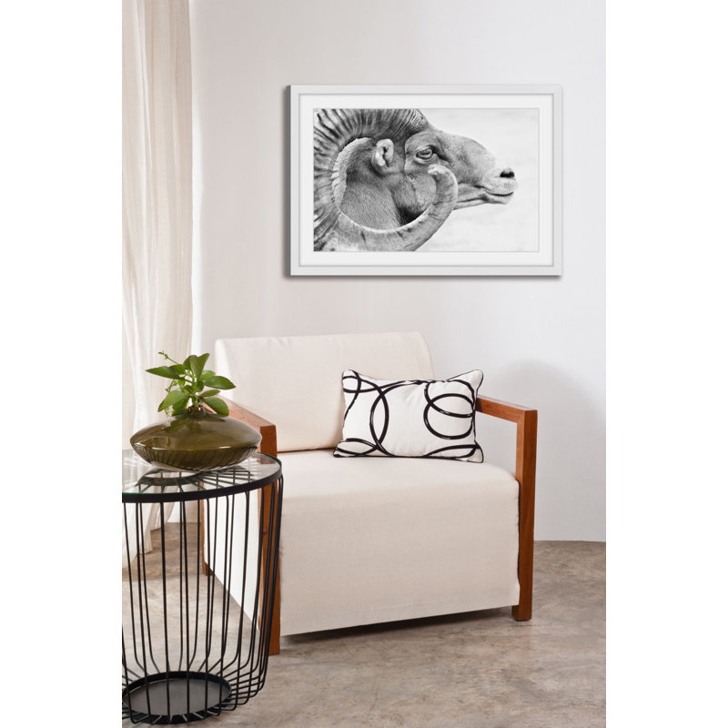 « ram profile 3 », reproduction de photo sur papier encadrée, H 16 po x l 24 po x P 1,5 po