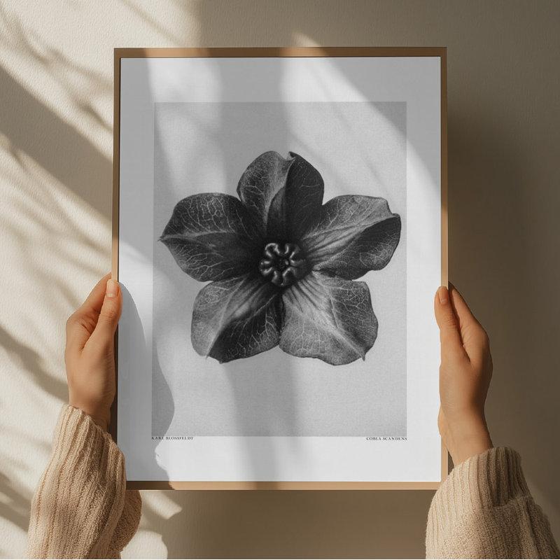 1 Piece Wrapped Canvas Wall Art, 76.2 cm H x 50.8 cm W