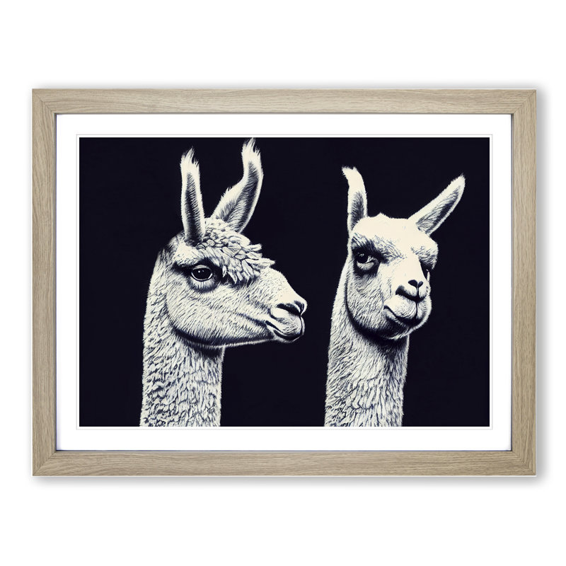 Two Llamas Vol.4 - Single Picture Frame Print, 25cm H x 34cm W x 2cm D, Oak Framed