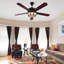 Addalyn 52'' Ceiling Fan with LED Lights