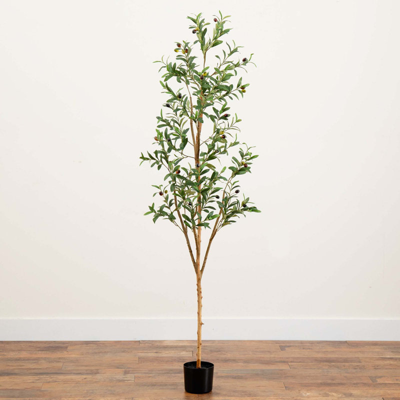 6ft Tall Faux Olive Tree with Natural Trunk in Gray Pot