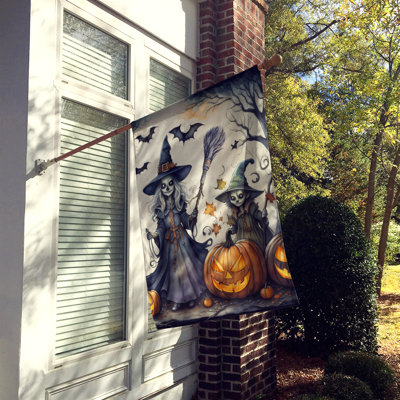 Double Sided 40'' H x 28'' W Polyester Halloween House Flag