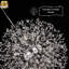 Lustre Perrion-2023405441-2072134075