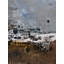 Euclidean Discovery Print by Pol Ledent-65827477-65852686