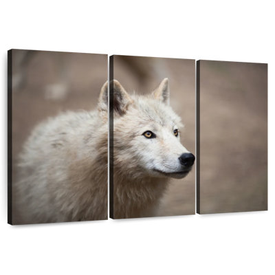 Brampt Arctic White Wolf