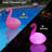 Floating Flamingo LED Pool Lights 2PCS, Waterproof, Glow In The Dark Solar Powered, Inflatable For Pool Spa Patio Wedding Party Christmas Decorations
