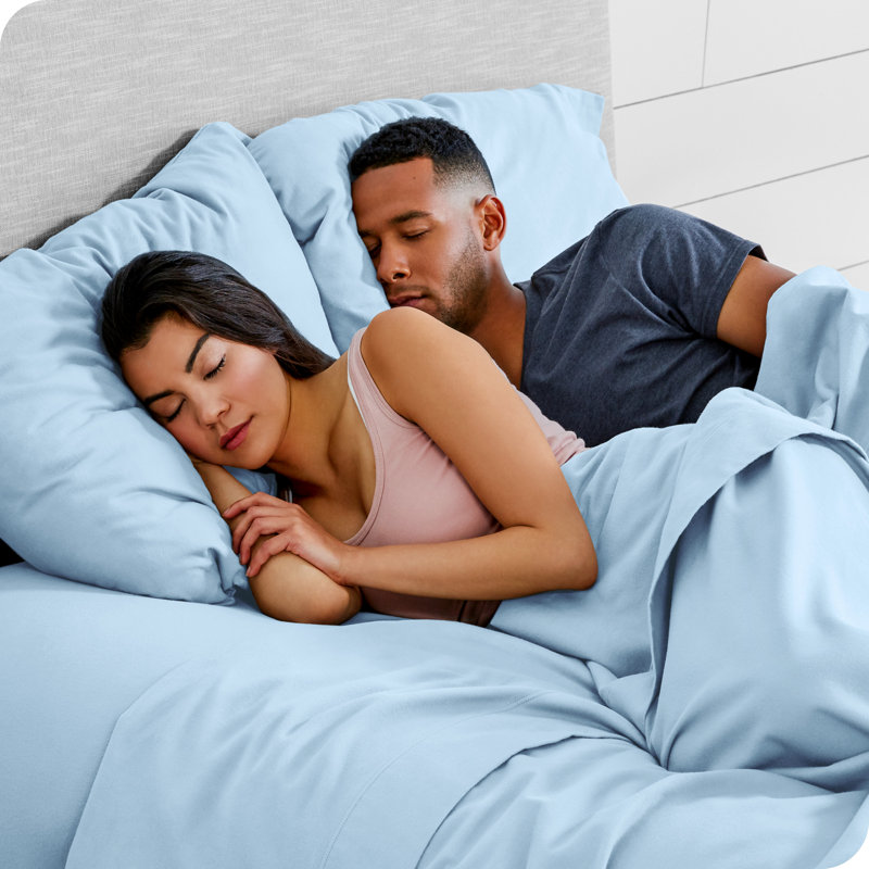 Light Blue Cotton Flannel Standard Pillowcase Set
