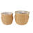 Penalosa Pot Planter
