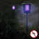 Solar-Powered Light and Insect Zapper - Dual LED/UV Outdoor Light Fixture with Stake for Gardens, Pathways, Patios, and Ponds by Pure Garden
