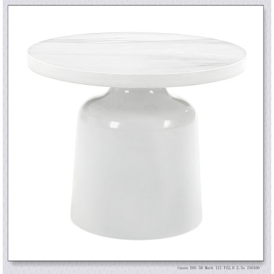 Zaid Engineering Marble & White High Gloss Finish End Table