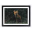 Portrait of a Fox - Picture Frame Painting Print-56758610-56758609
