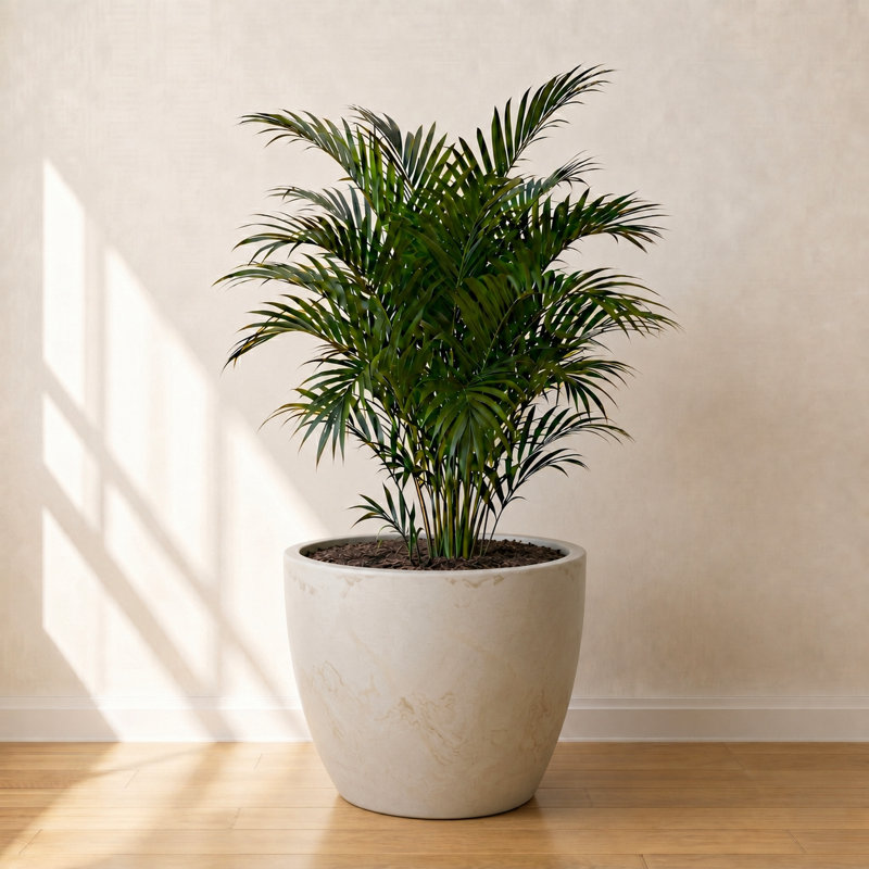 ECOBO Eco-Friendly Round Pot Planter, VicenzaIndoor/Outdoor use,Four Season Use, Off White, 20.5" H x 27.6" W x 27.6" D