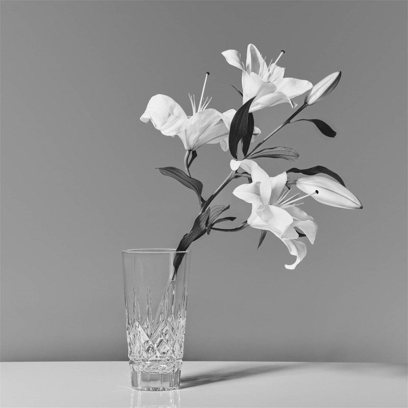 Waterford Lismore Vase 10in, 8" H x 4.02" W x 4.02" D