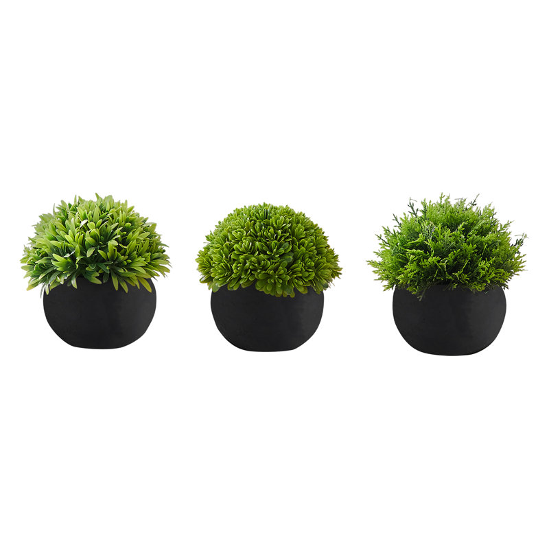 Ensemble de 3 plantes d'intérieur pour plantes d'intérieur, vert luxuriant, 5 pouces