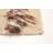 Sienna Beige Rug 5'4" x 7'8"
