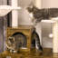 Habitation pour chat polyvalente avec bac à litière intégré et jeux