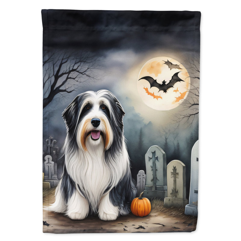 Double Sided 40'' H x 28'' W Polyester Halloween House Flag