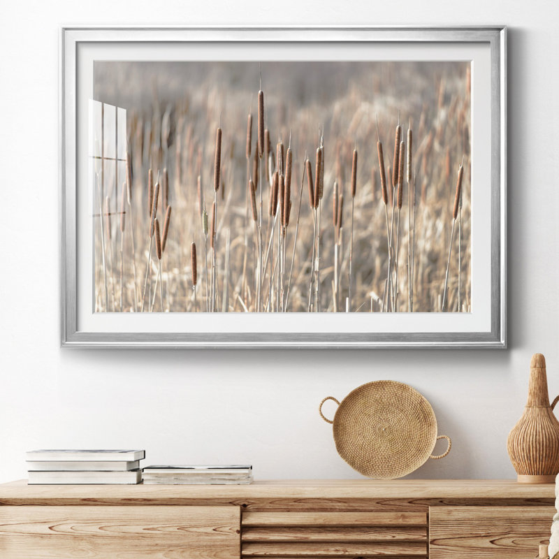 Summer Tails - Photographie avec cadre photo, H 30,5 po x l 42,5 po x P 1,5 po, Papier avec cadre argenté