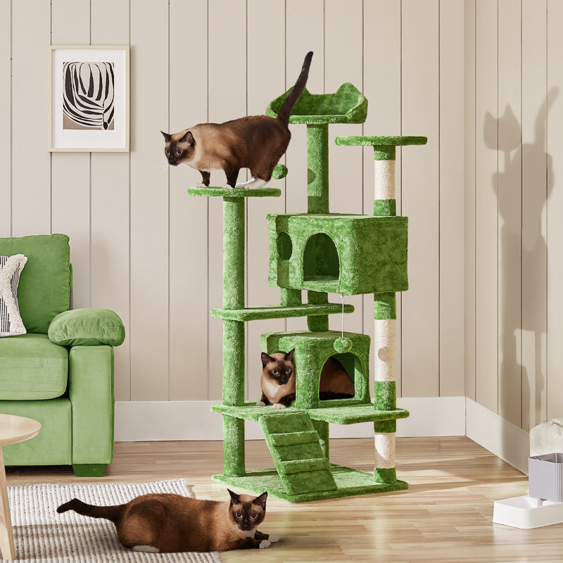Meuble pour chat avec poteau à griffer pour chat Dagenham, H 54 po x l 20 po x P 20 po, Vert