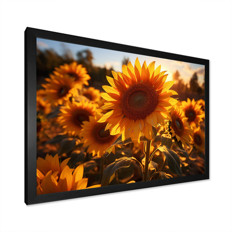Tournesols orange et tournesols éclairés II, H 12 po x l 20 po x P 1 po, Cadre photo noir
