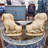 Animals Figurines & Sculptures-70564269-70564270