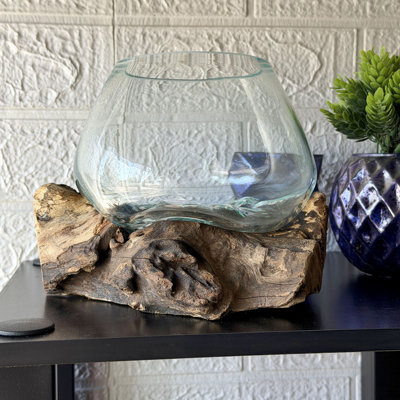 Pot à fleurs terrarium en verre flotté naturel de 7,5 pouces de large Coastal