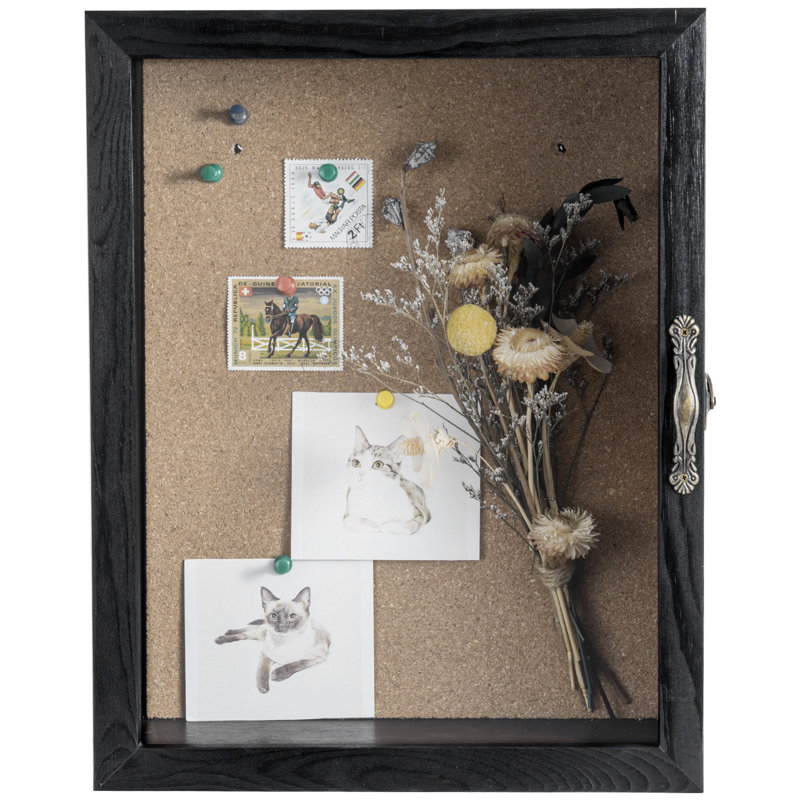 Cenedra 25.4cm X 33cm Solid Wood Shadow Box with Frame, Black