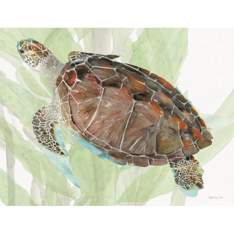 «Squirtle The Sea Turtle on Canvas» par Stellar Design Studio, reproduction, H 12 po x l 18 po
