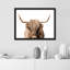 "Portrait de vache Shetland brune et blanche à deux tons" sur papier-98265845-98265842