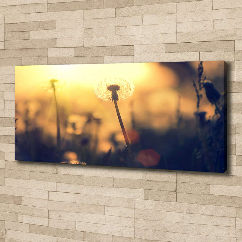 Dandelion - No Frame Print on Glass, Canvas, 50cm H x 125cm W x 2cm D