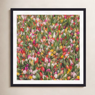 Thyrome "Rainbow Tulips" Print by Hello Twiggs