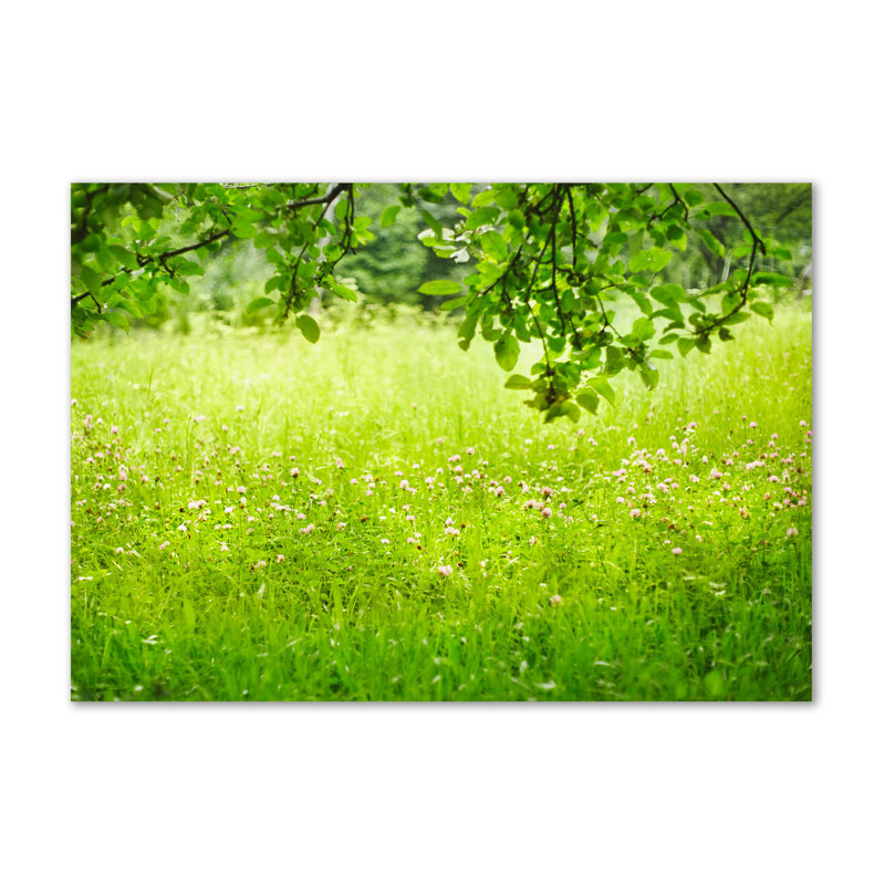 Green Meadow - Wrapped Canvas Print