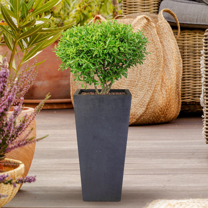 Plant Pot, 38.5cm H x 18.5cm W x 18.5cm D, Dark Grey