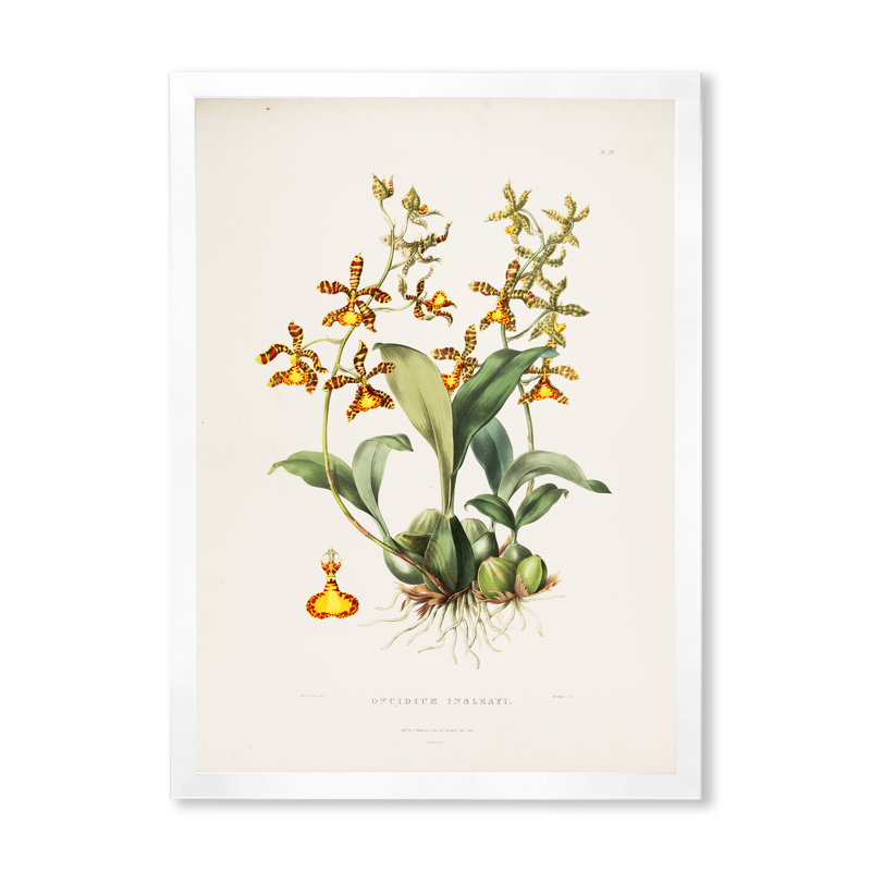 Fleur rétro I - peinture sur toile, H 40 po x l 30 po x 1,5 po, Cadre photo blanc