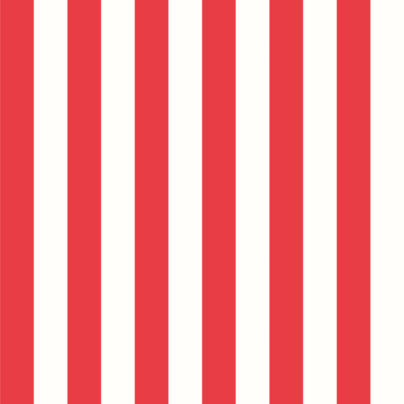 Classic Stripe - Red & White