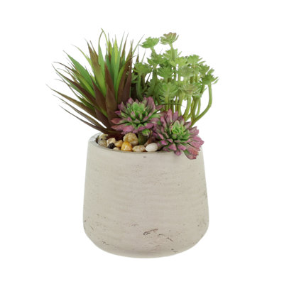 Echeveria and Sedum Arranged in Fiberstone Pot with Rocks