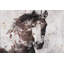 « Gorgeous Horse » d'Irena Orlov - impression sur toile-1727667861-1620515219-1619713719