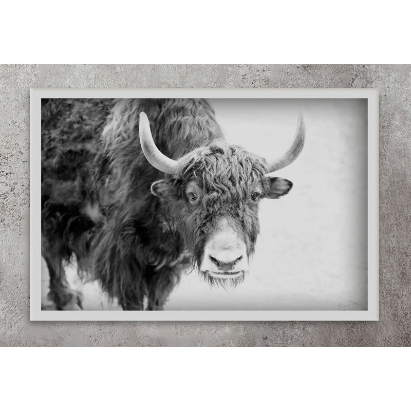 «Buffalo Vers l'avant» par Marmont Hill, H 16 po x l 24 po x P 1,5 po, Aucun mat