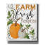 «Farm Fresh Pumpkins» par Cindy Jacobs, art mural sur toile-485468848