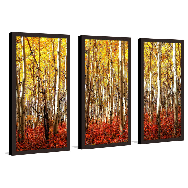 Bouleaux - ensemble de 3 reproductions de photos sur acrylique, H 25,5 po x l 40,5 po x P 1 po